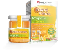 Forte Pharma Propolis Intense Gelée Pot/40g à Saint Leu La Forêt
